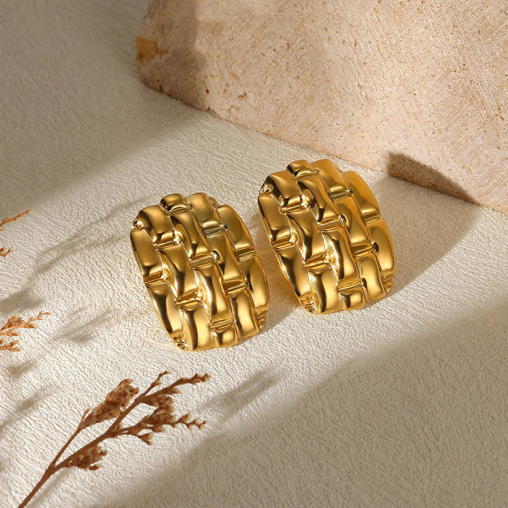 Stud Stainless Steel Earrings